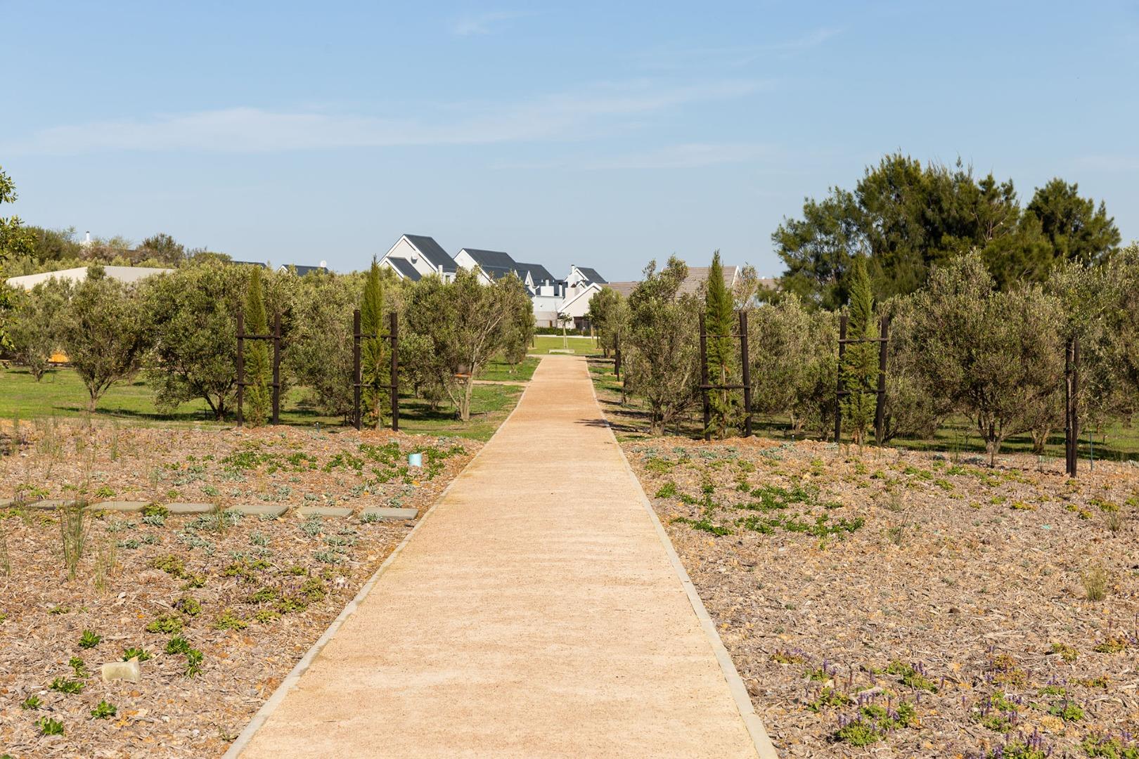768994_Graanendal-Lifestyle-Estate-in-Durbanville-23.jpg