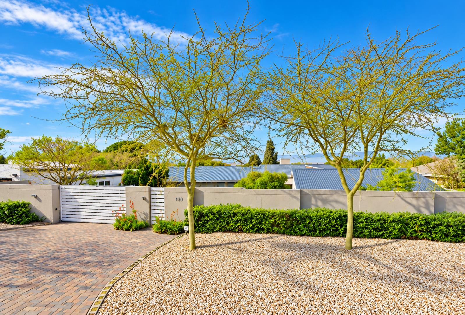 769820_Sunlit_Suburban_Garden_with_Tree_Shadows.png